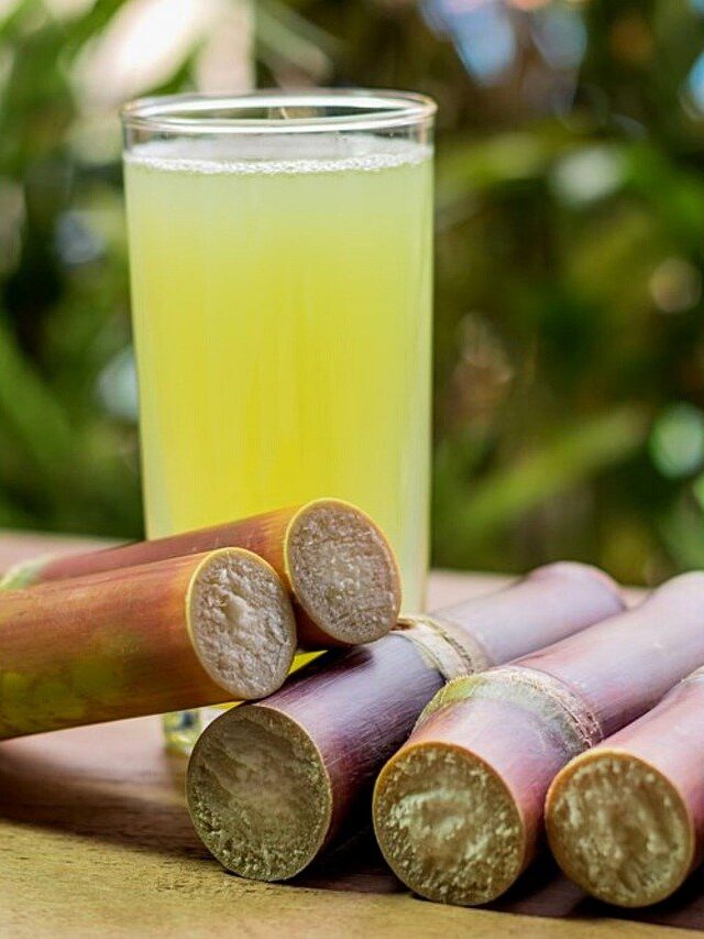 cropped-sugarcane-5388628_1280.jpg