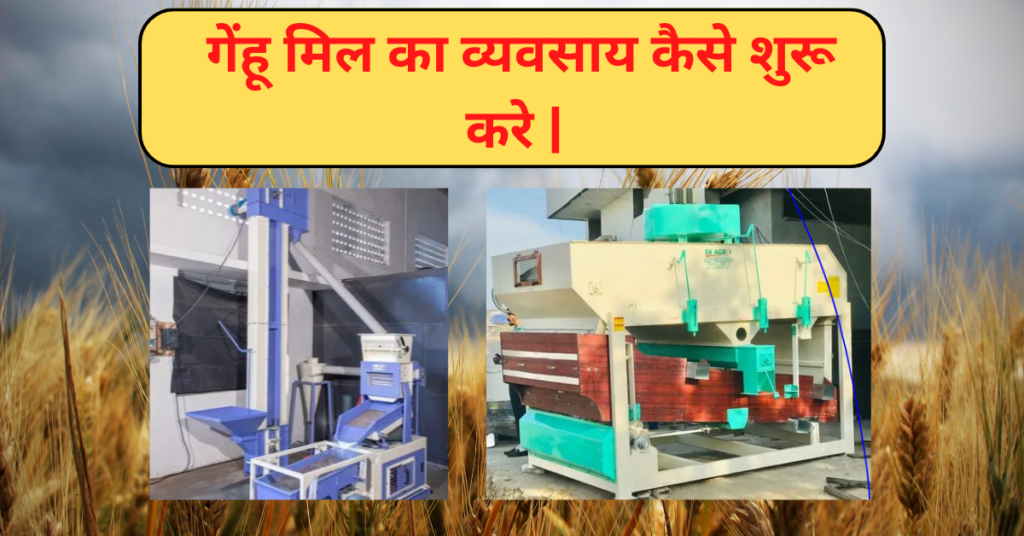 wheat meal business